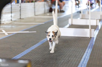 RielVisuals_20260802_090642_SJR_7148