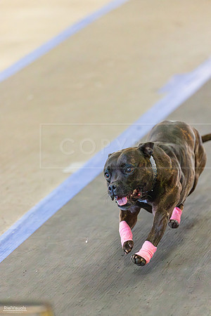 RielVisuals_20260801_165803_SJR_5121