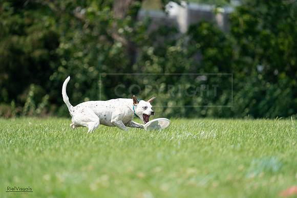 RielVisuals_20240727_134610_SJR08340
