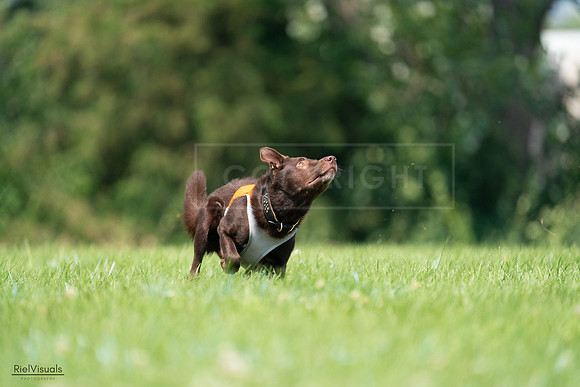 RielVisuals_20240727_114642_SJR03899