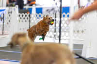 RielVisuals_20260801_083906_SJR_1649