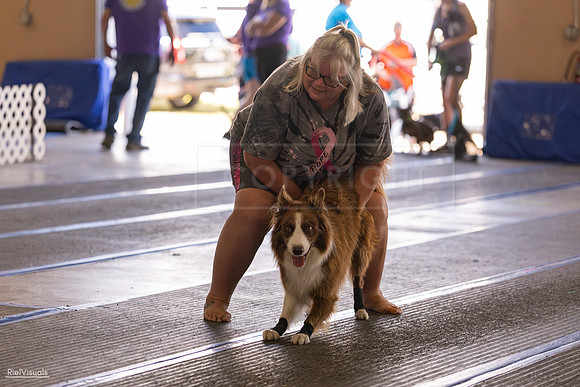 RielVisuals_20260802_101304_SJR_7986