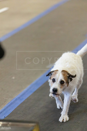 RielVisuals_20260801_165754_SJR_5070