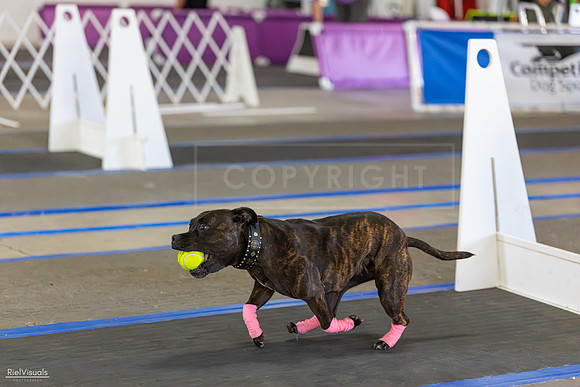 RielVisuals_20260801_165300_SJR_4628