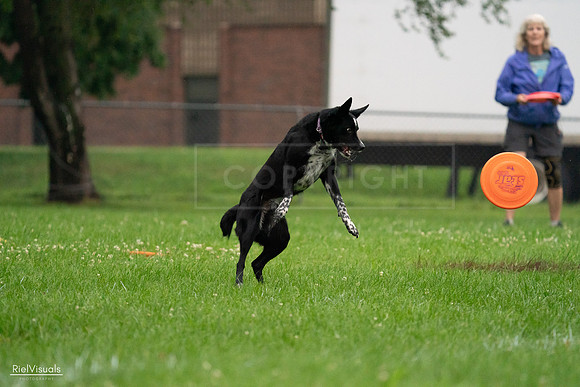 RielVisuals_20240722_192936_SJR01208