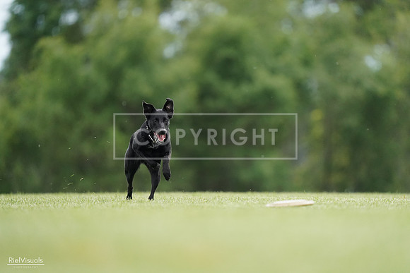 RielVisuals_20240525_160707_SJR03480