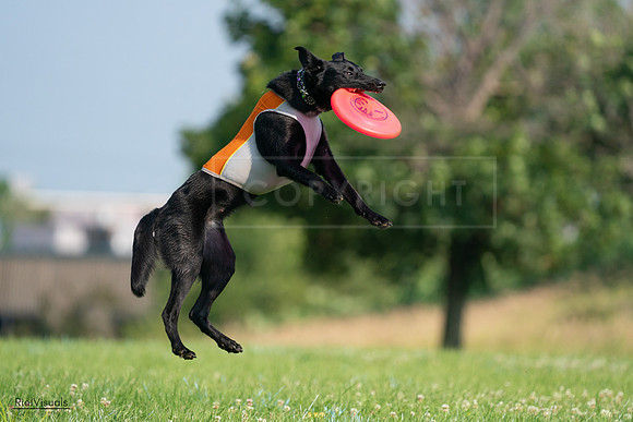 RielVisuals_20240727_093253_SJR06731