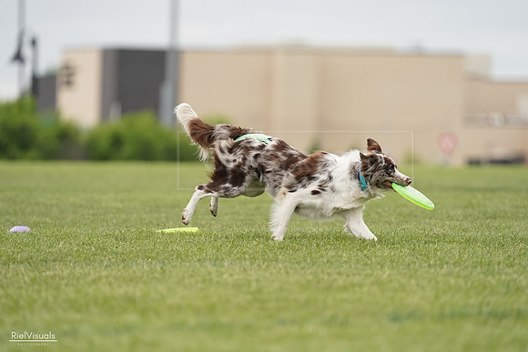 RielVisuals_20240526_132947_SJR07987