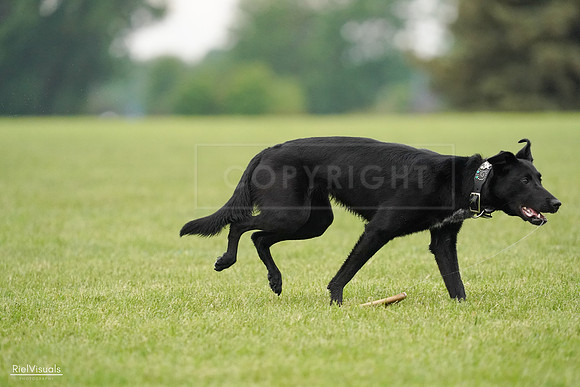 RielVisuals_20240527_110404_SJR02780