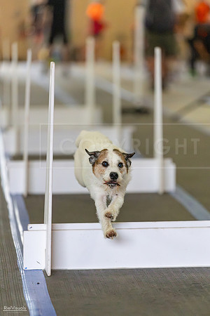 RielVisuals_20260801_084640_SJR_1950