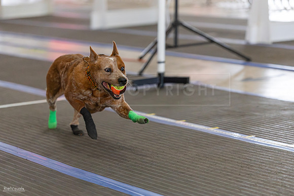 RielVisuals_20260802_101322_SJR_8059