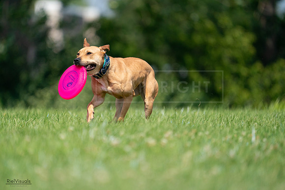 RielVisuals_20240727_115233_SJR04161
