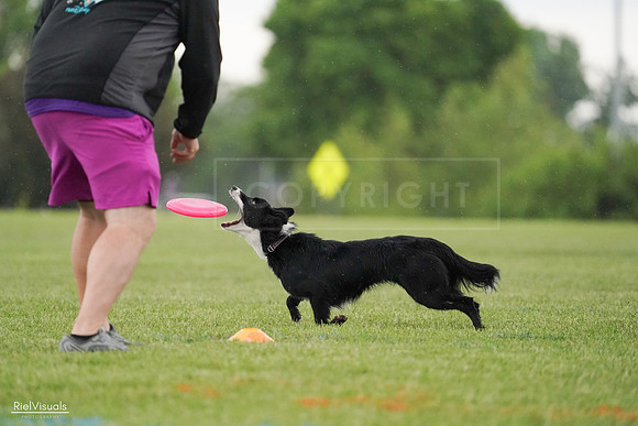RielVisuals_20240526_095310_SJR01263