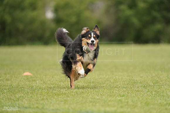 RielVisuals_20240527_133228_SJR00165