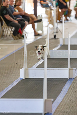 RielVisuals_20260801_165753_SJR_5034