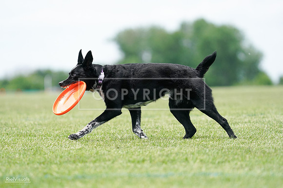 RielVisuals_20240525_124955_SJR01325