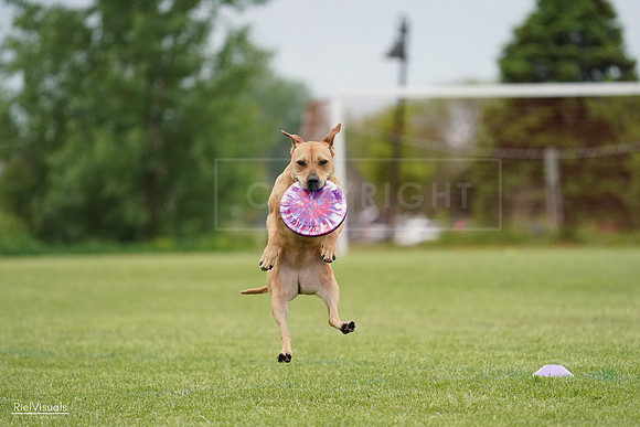 RielVisuals_20240526_131531_SJR07272