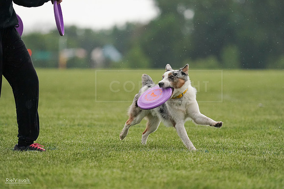 RielVisuals_20240526_092908_SJR00169