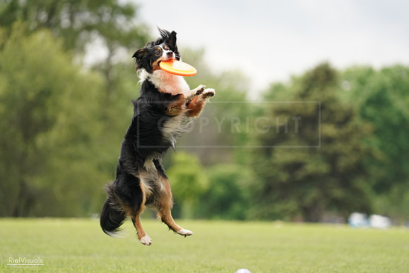 RielVisuals_20240527_132808_SJR09882