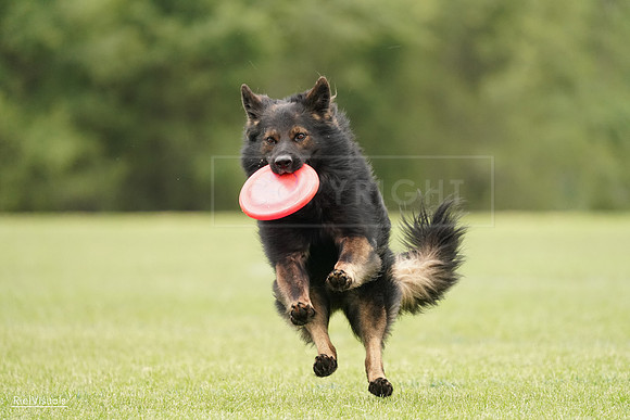 RielVisuals_20240527_132958_SJR00042