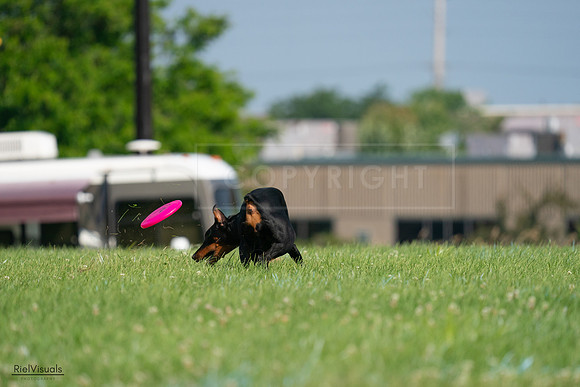 RielVisuals_20240727_100530_SJR08517