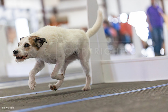 RielVisuals_20260802_125022_SJR_8447
