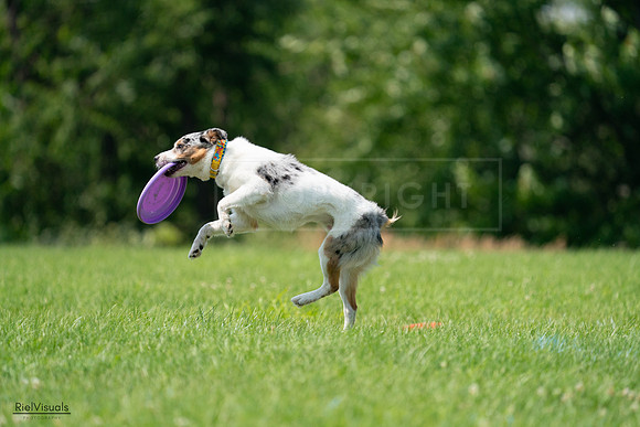 RielVisuals_20240727_140105_SJR09311
