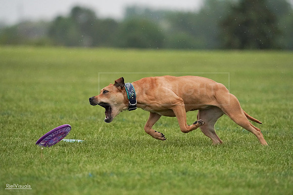 RielVisuals_20240527_094218_SJR08498