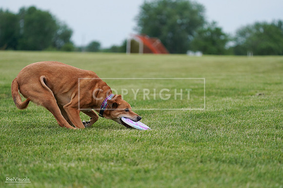RielVisuals_20240525_161934_SJR04156