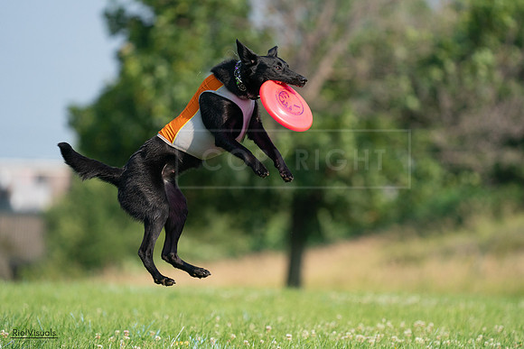 RielVisuals_20240727_093253_SJR06732