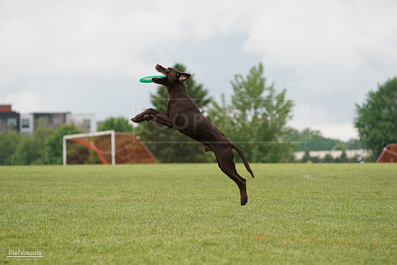 RielVisuals_20240527_132547_SJR09750