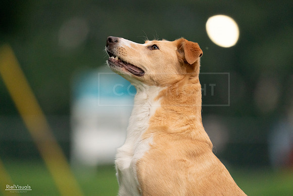 RielVisuals_20240722_191143_SJR00269