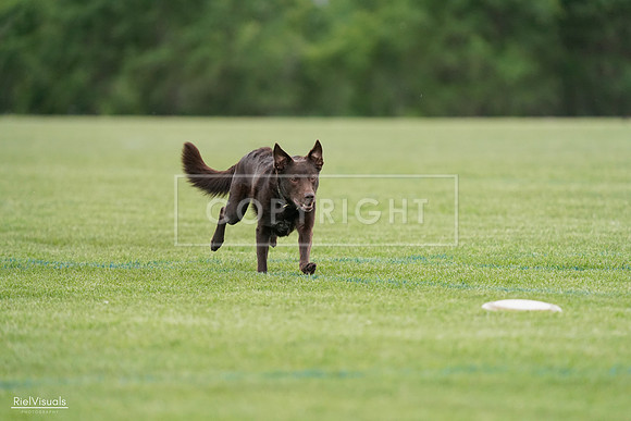 RielVisuals_20240525_162108_SJR04217