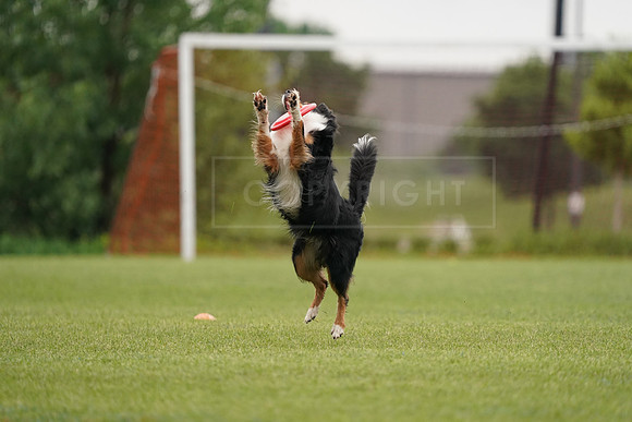 RielVisuals_20240527_122701_SJR06253