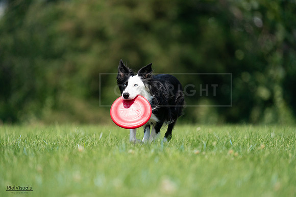 RielVisuals_20240727_114834_SJR04009