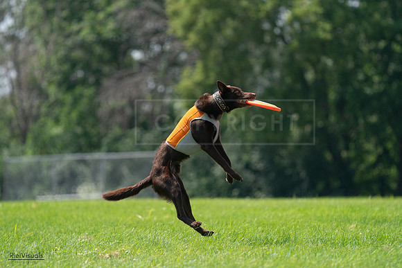 RielVisuals_20240728_130846_SJR05186