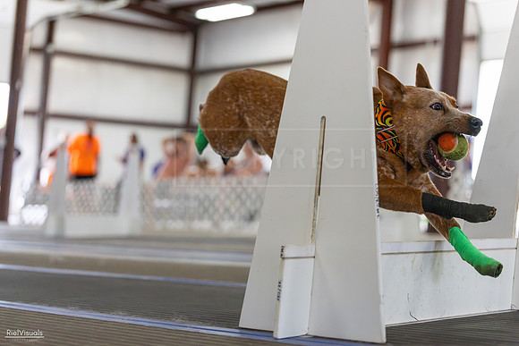 RielVisuals_20260802_134540_SJR_9040