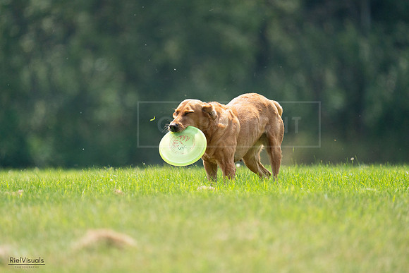 RielVisuals_20240727_122411_SJR05460