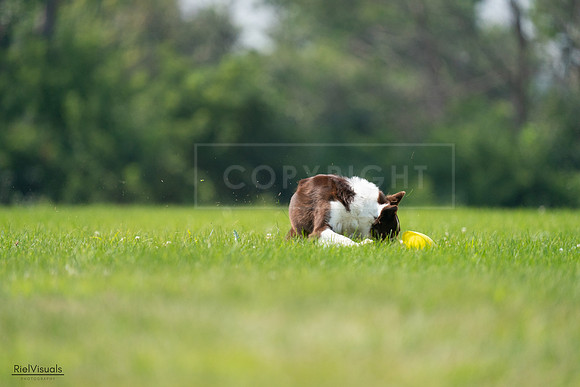 RielVisuals_20240727_115604_SJR04319