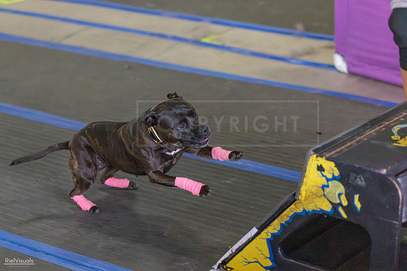RielVisuals_20260802_152349_SJR_9382