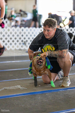 RielVisuals_20260802_101517_SJR_8227