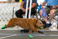 RielVisuals_20260801_083906_SJR_1670