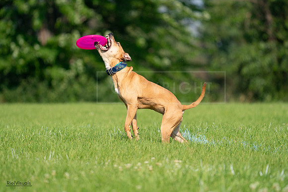 RielVisuals_20240727_093118_SJR06644