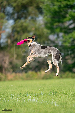RielVisuals_20240727_093933_SJR07150