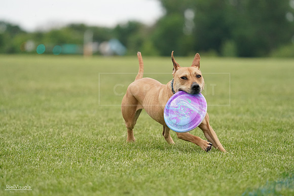 RielVisuals_20240526_131541_SJR07308