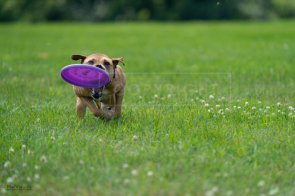 RielVisuals_20240728_131327_SJR05442