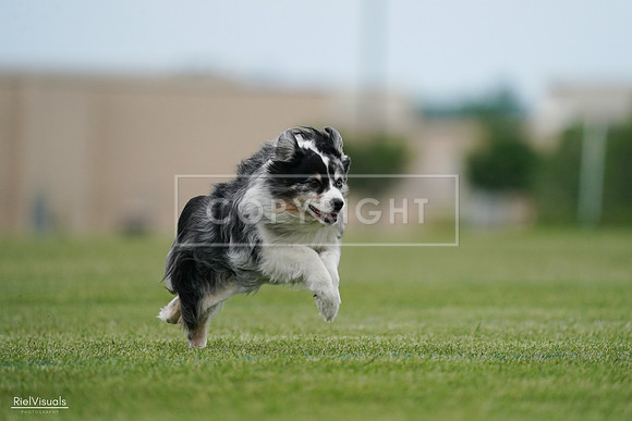 RielVisuals_20240525_163008_SJR04610