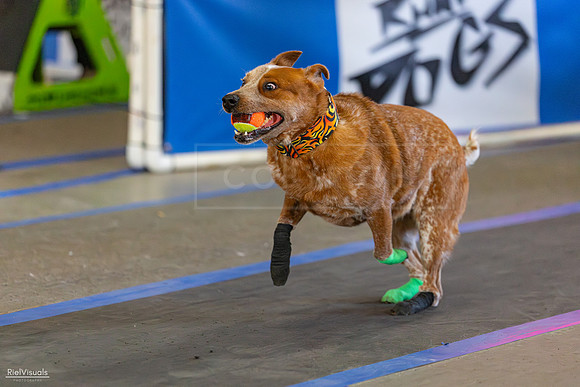 RielVisuals_20260801_165547_SJR_4889