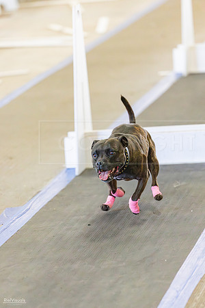 RielVisuals_20260801_165803_SJR_5110