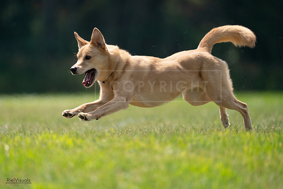 RielVisuals_20240727_120030_SJR04488